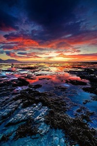 热那亚主场不敌萨索洛，保级形势渐显危机