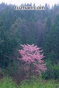 欧德队主场大胜，实现赛季最佳表现