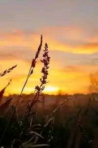 即将加盟米内罗竞技，23岁雷尼尔5个赛季零出场离开皇马，米内罗竞技对瑞模贝雷