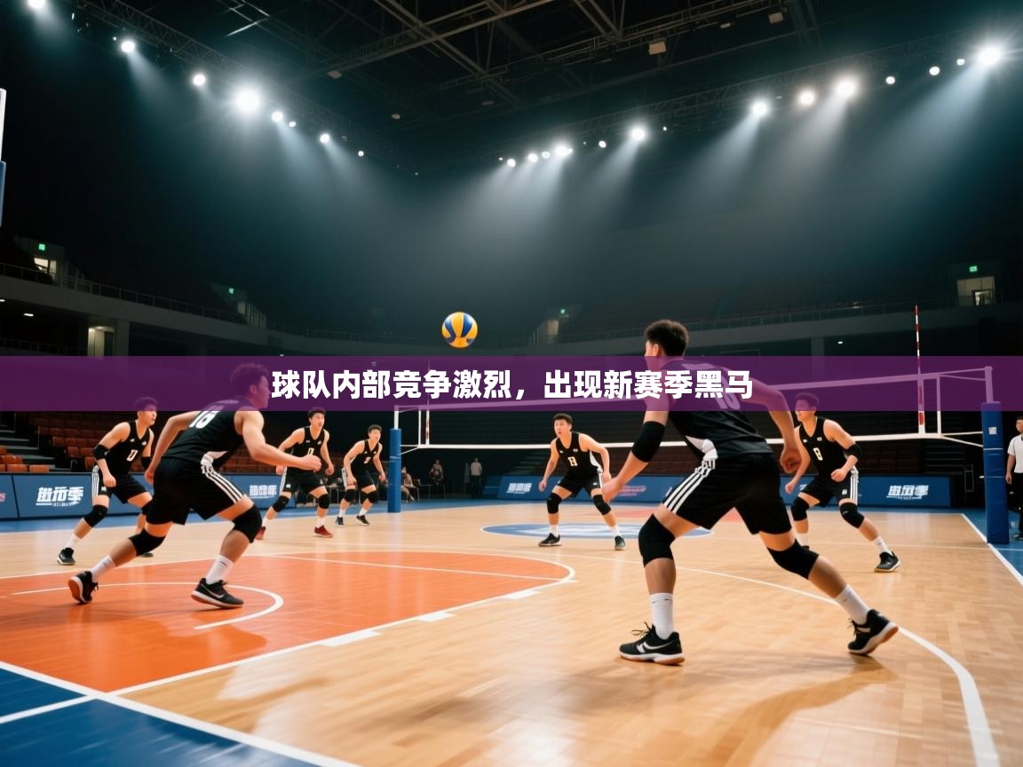 球队内部竞争激烈，出现新赛季黑马