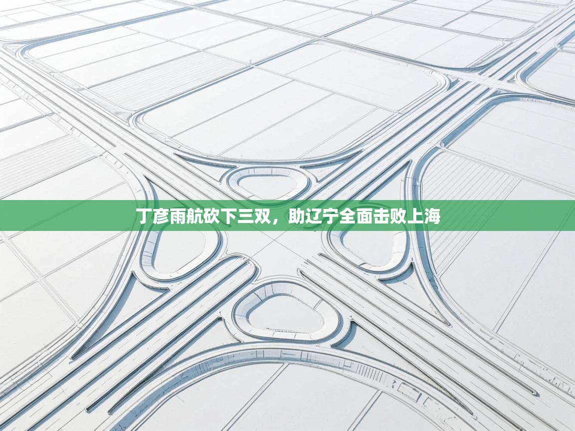 丁彦雨航砍下三双，助辽宁全面击败上海  第2张