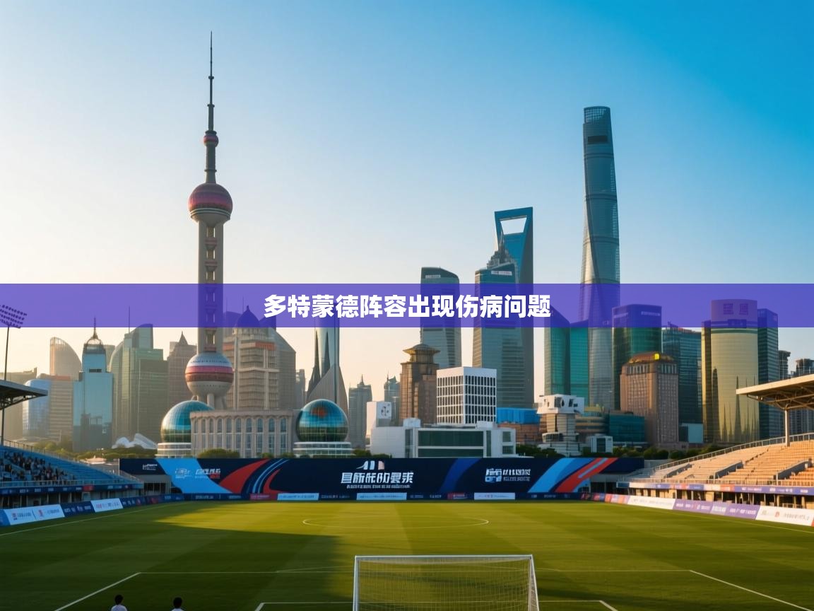 多特蒙德阵容出现伤病问题