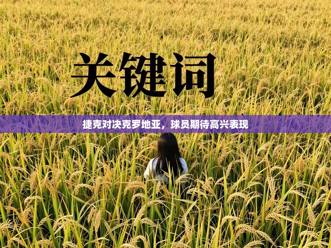 捷克对决克罗地亚，球员期待高兴表现  第2张